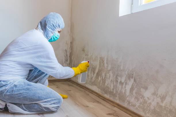Licensed Mold Remediation service in Wayne, NJ - 24 Hour Mold Removal