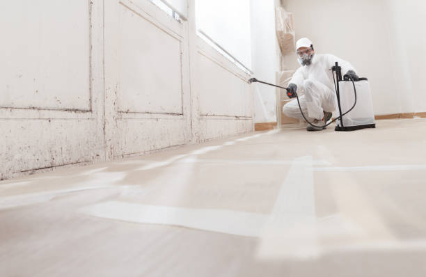 24/7 Emergency Mold Remediation experts in Wayne, NJ