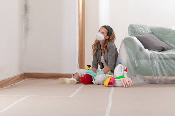 Reliable Mold Remediation contractor in Wayne, NJ by 24 Hour Mold Removal