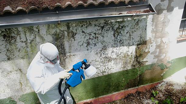 Top rated local Mold Remediation specialists in Wayne, NJ